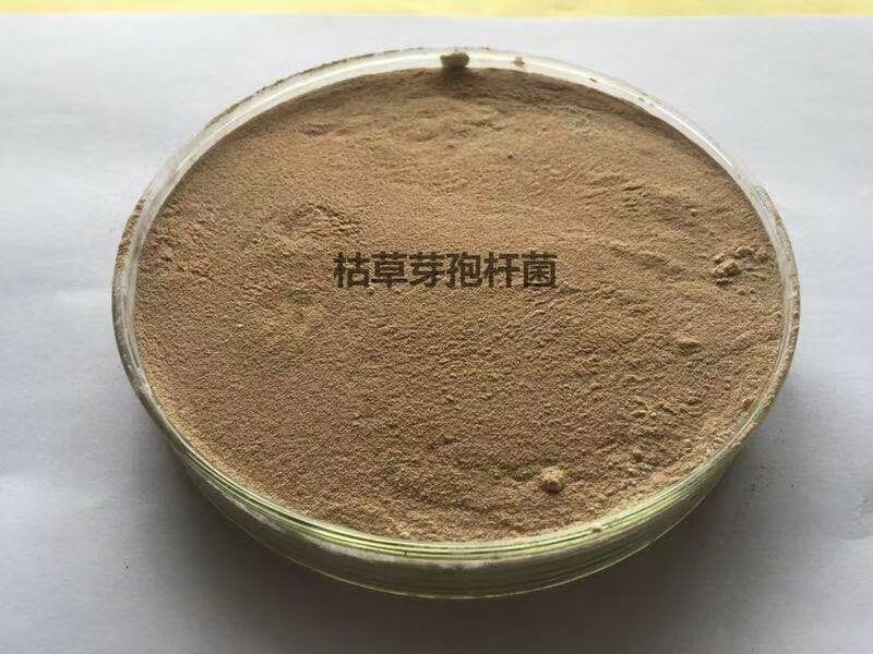 菌肥都有哪些作用？